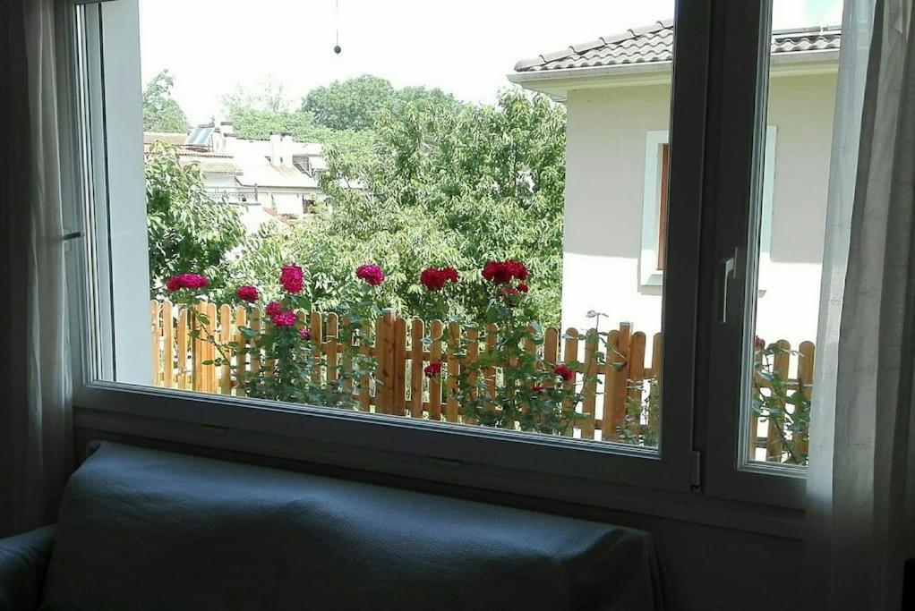 Lily'S Apartment Ioannina Extérieur photo