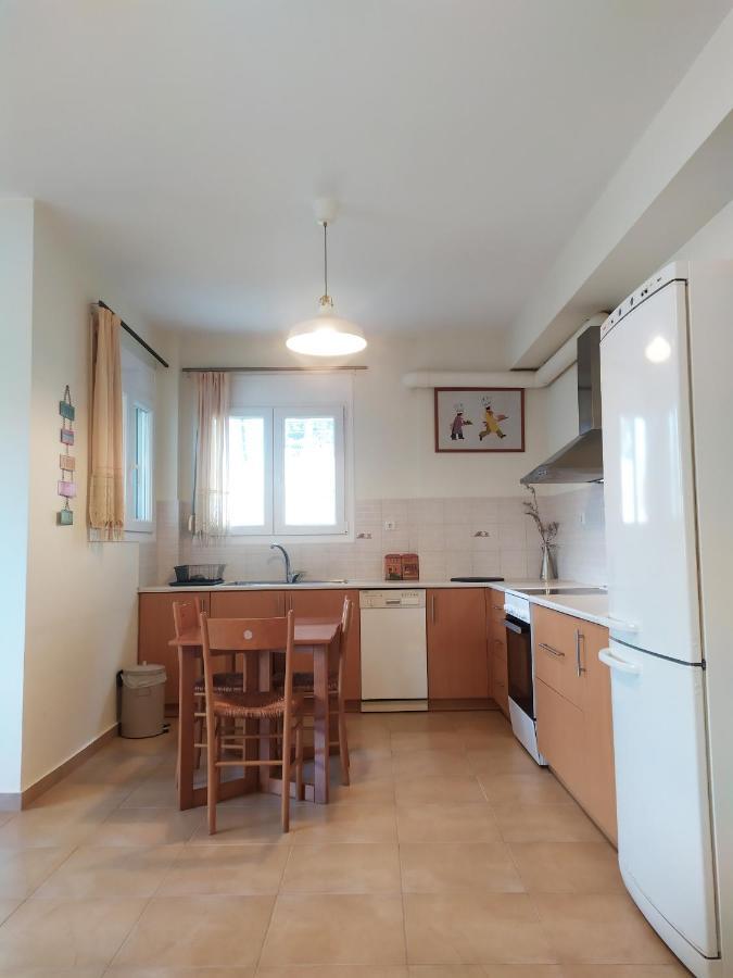 Lily'S Apartment Ioannina Extérieur photo